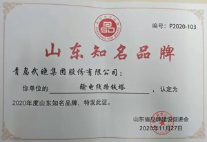 2020山东知名品牌-输电线路铁塔